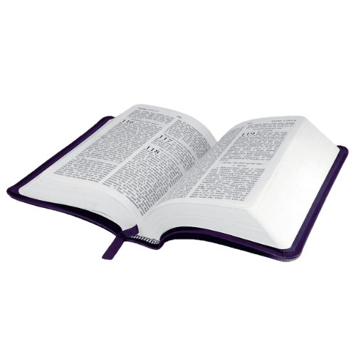 John 14:16-17